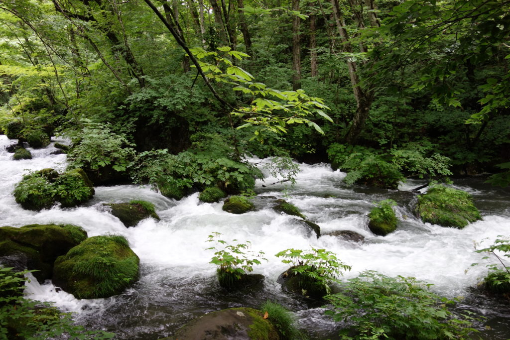 ヒーリングとは