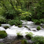 ヒーリングとは