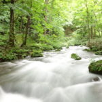 こんな方におすすめです